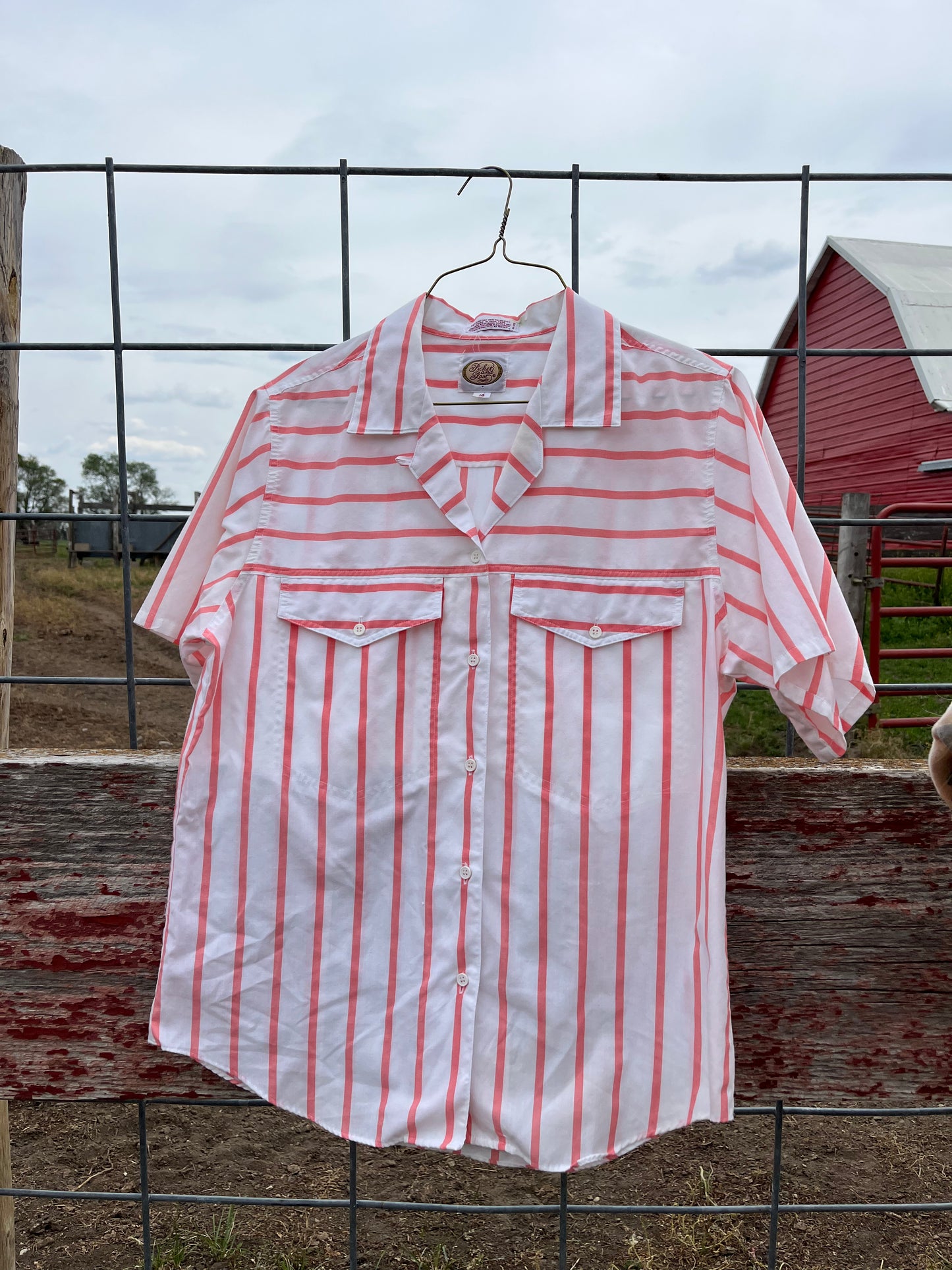 Pink Striped Button Up