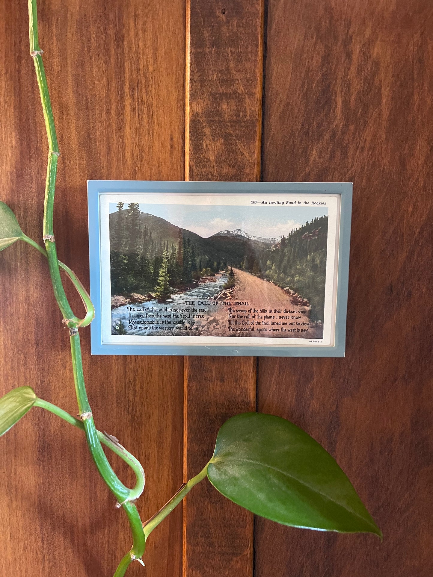 Call of the Trail Postcard