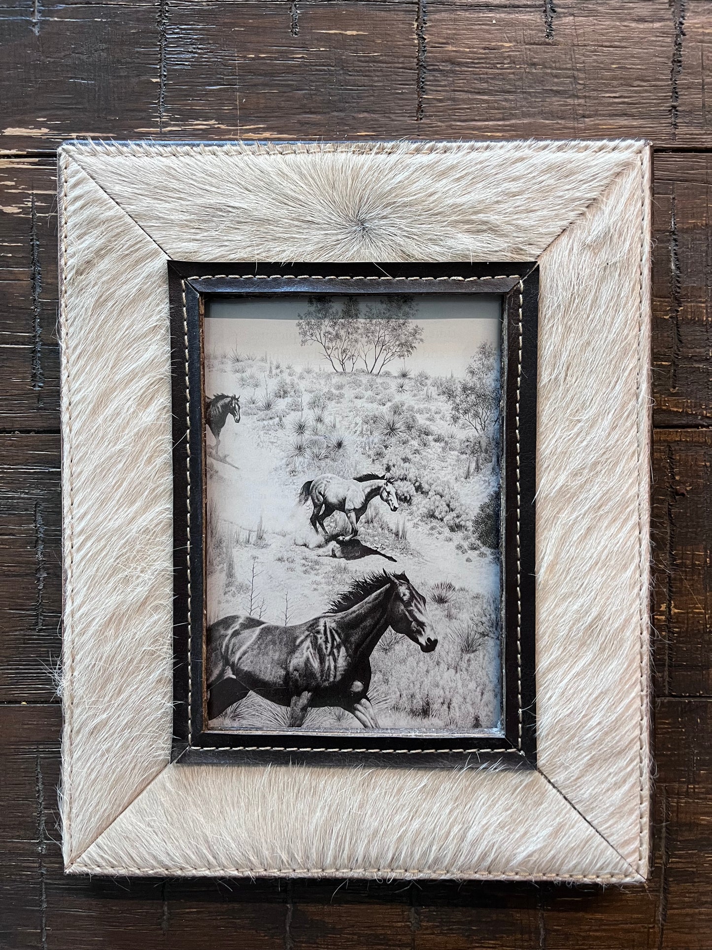 Horsehair Stallion Print