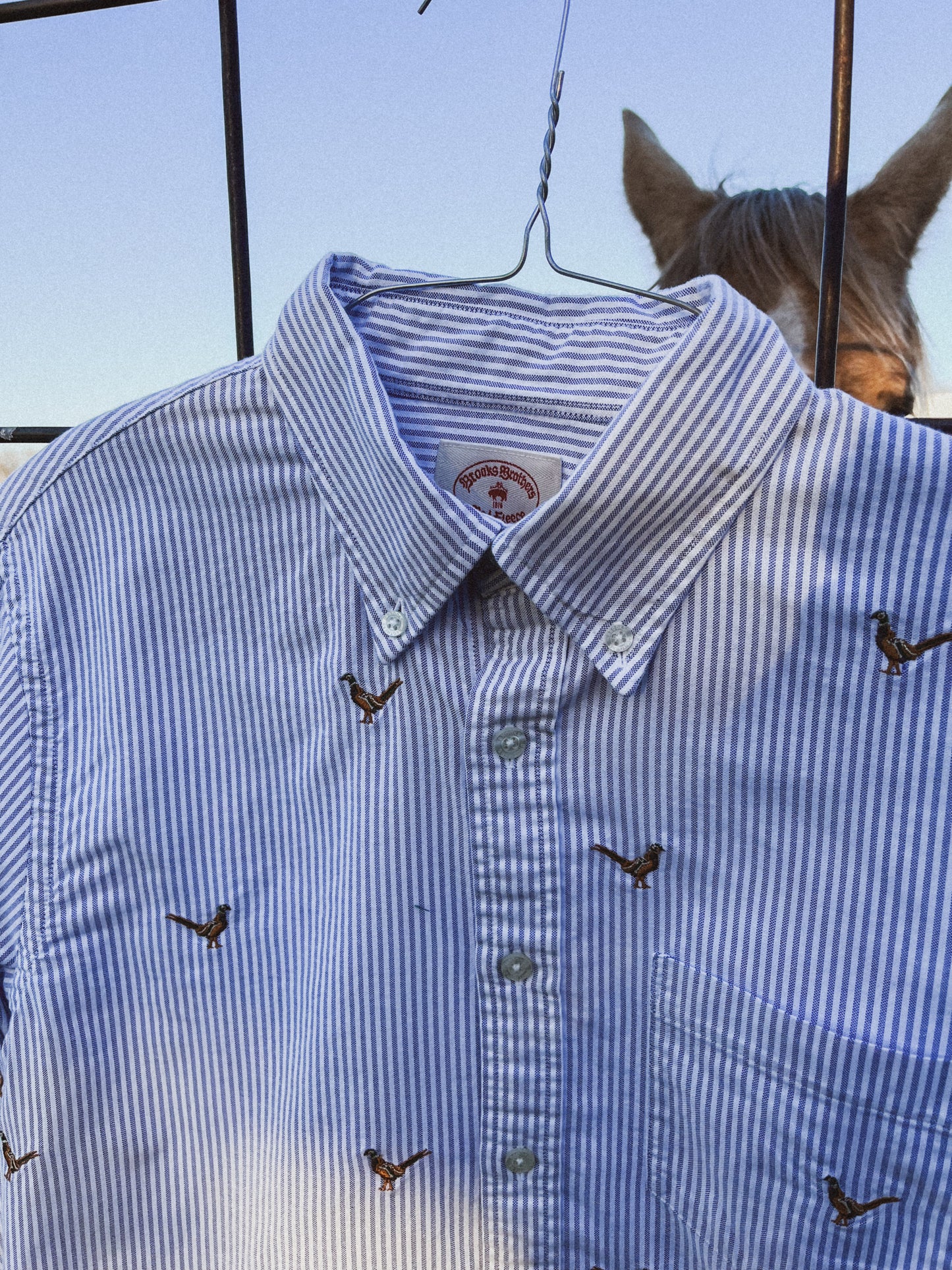 Embroidered Pheasant Button Up