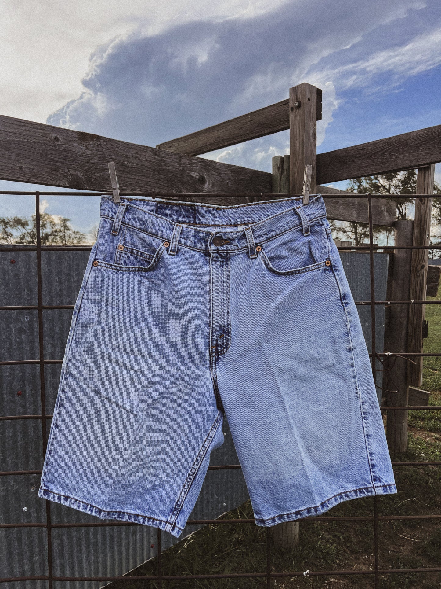 Orange Tab Levi Shorts