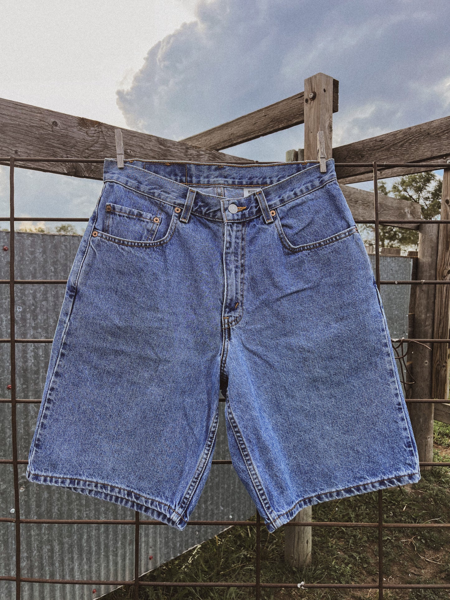 560 Levi Shorts